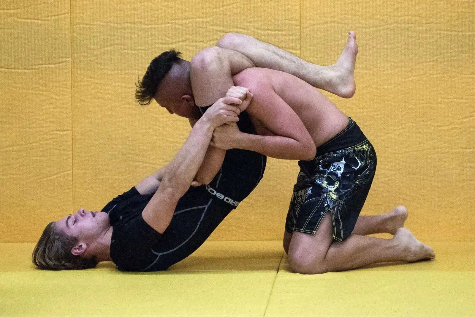 Brazilian Jiu-Jitsu - Galeriebild 3 von 4: Training und Techniken