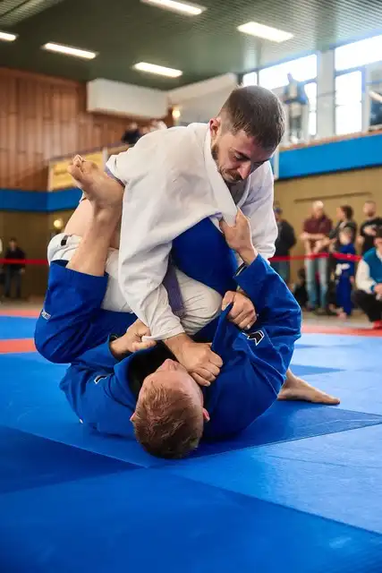 Brazilian Jiu-Jitsu - Galeriebild 8 von 9: Training und Techniken