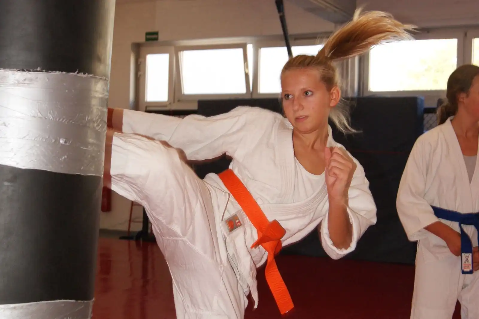 Jiu-Jitsu - Galeriebild 2 von 2: Training und Techniken