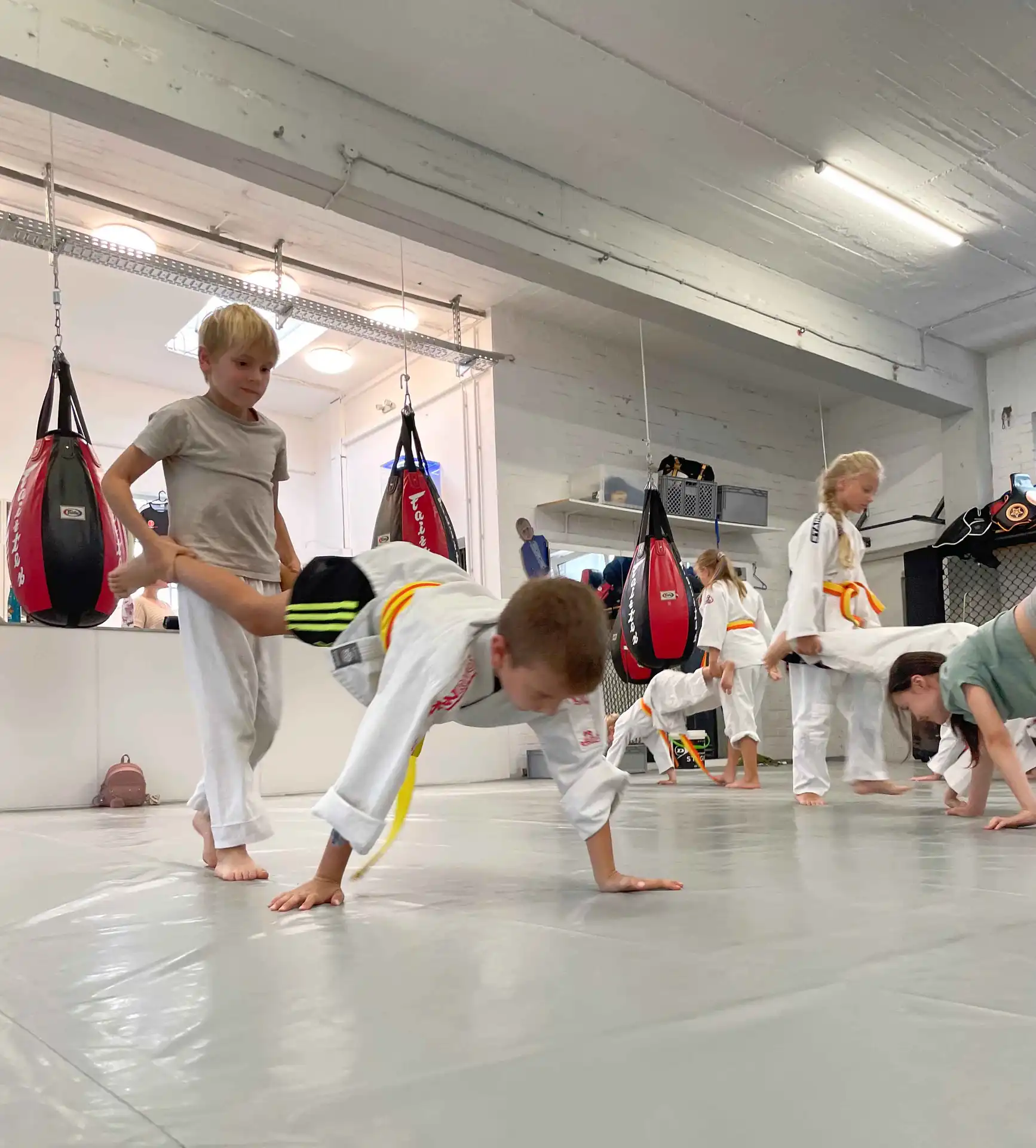 Jiu-Jitsu Kids - Galeriebild 5 von 9: Training und Techniken
